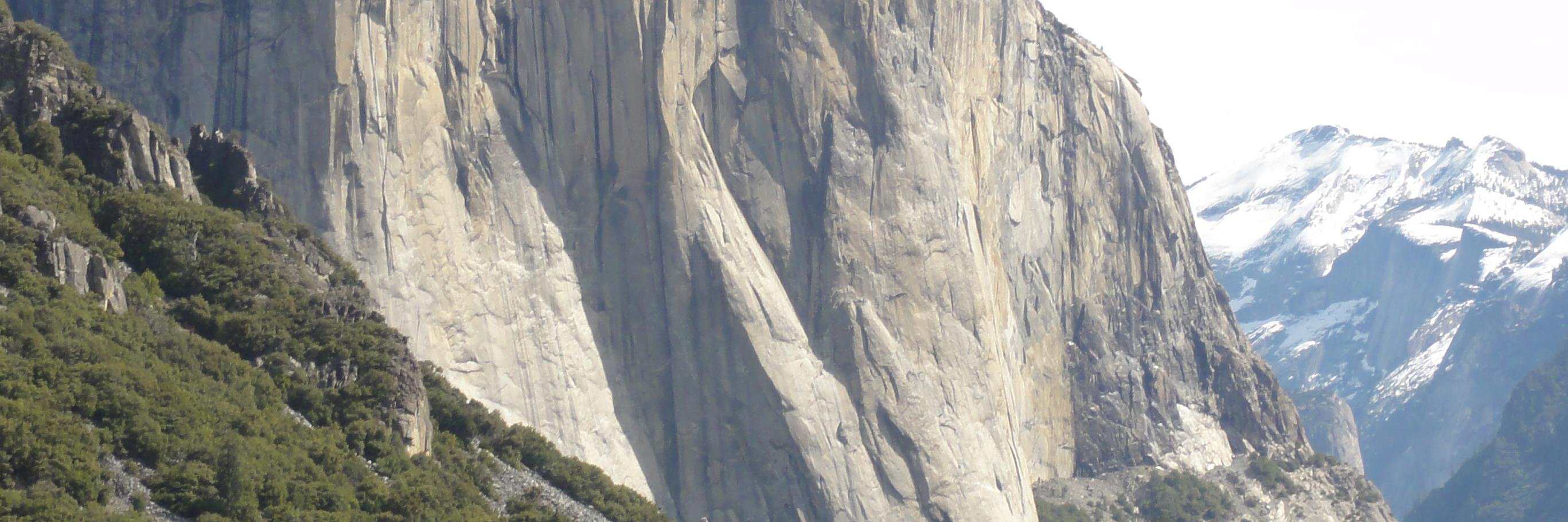 vickybether's profile banner image