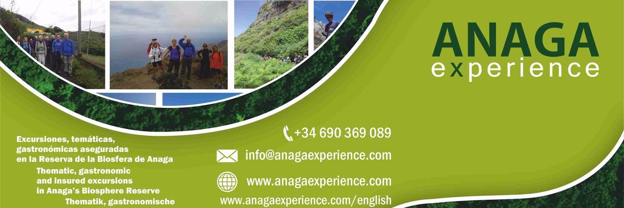 anagaxp's profile banner image