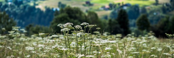 EmmanuelRenaut Profile Banner