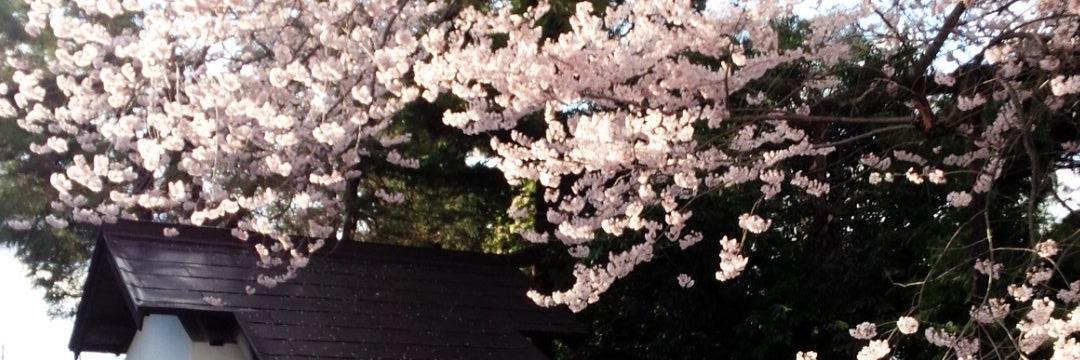 hotate_poteto_'s profile banner image