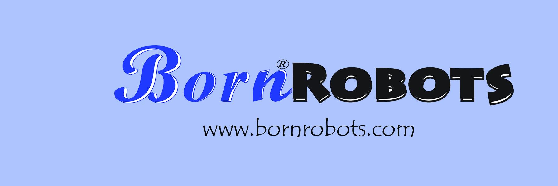 BornRobots's profile banner image