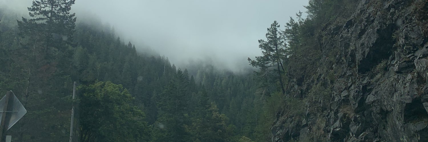 StarlaLawhon's profile banner image