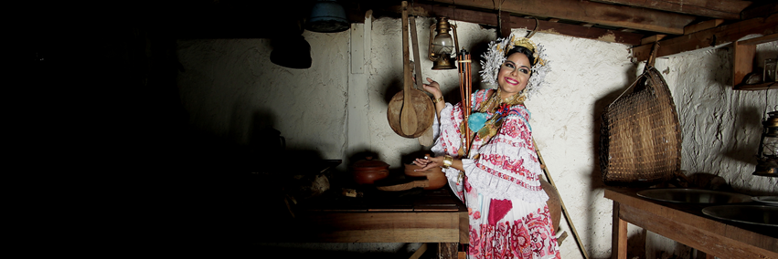 Desfile Mil Polleras banner