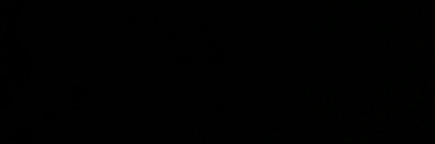 vbf_13's profile banner image