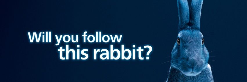 DatBunni's profile banner image