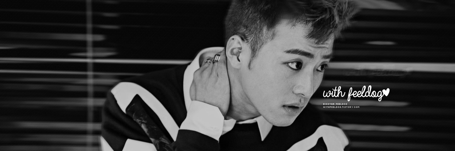 WithFeelDog's profile banner image