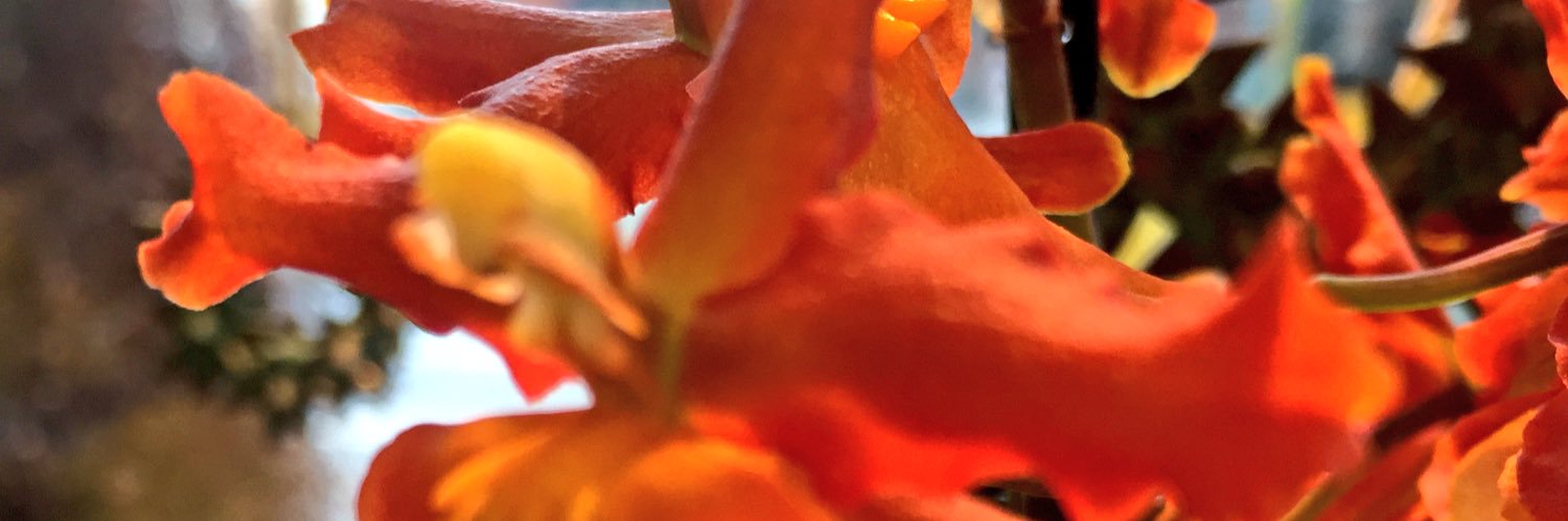KatriGummerus's profile banner image