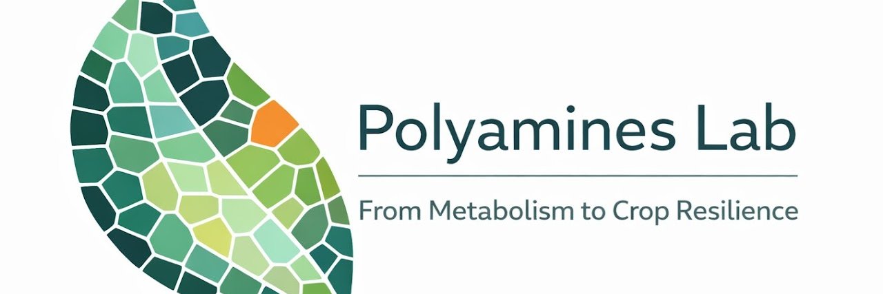PolyaminesLab's profile banner image