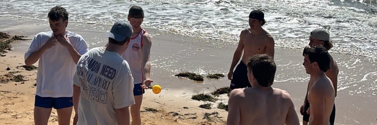 Micheal Weber banner