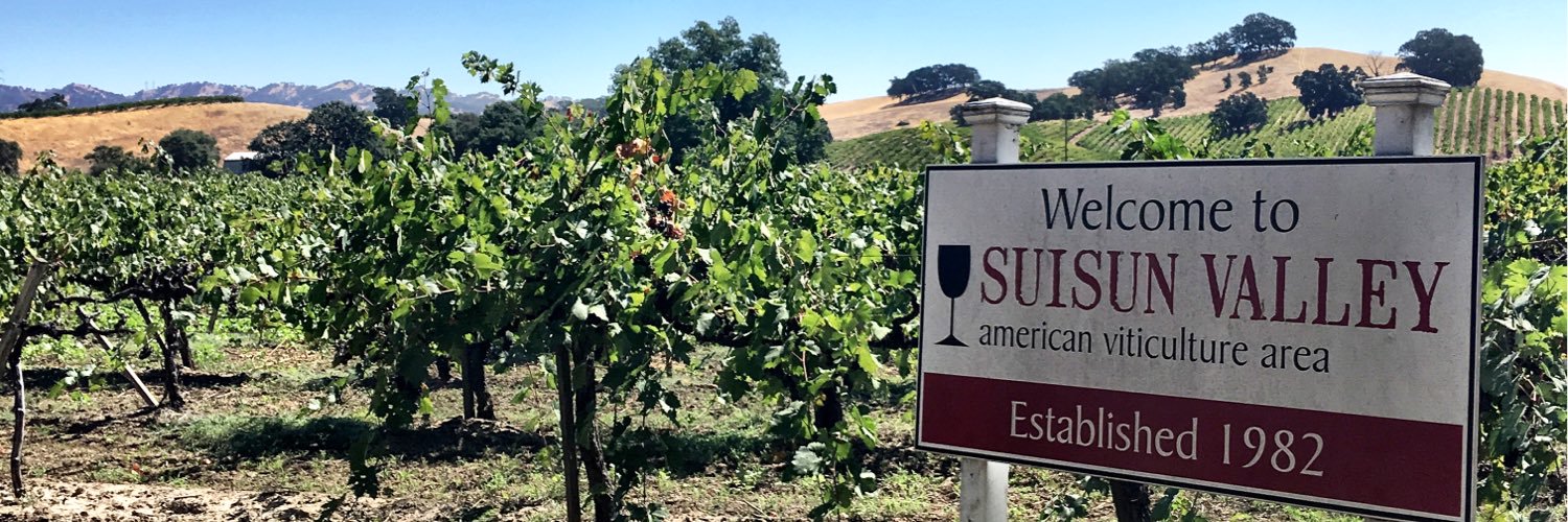 threadsandvino's profile banner image