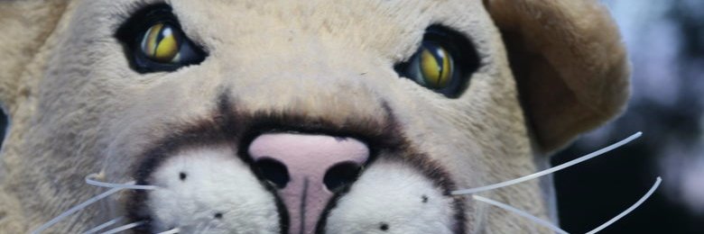 caswamp's profile banner image