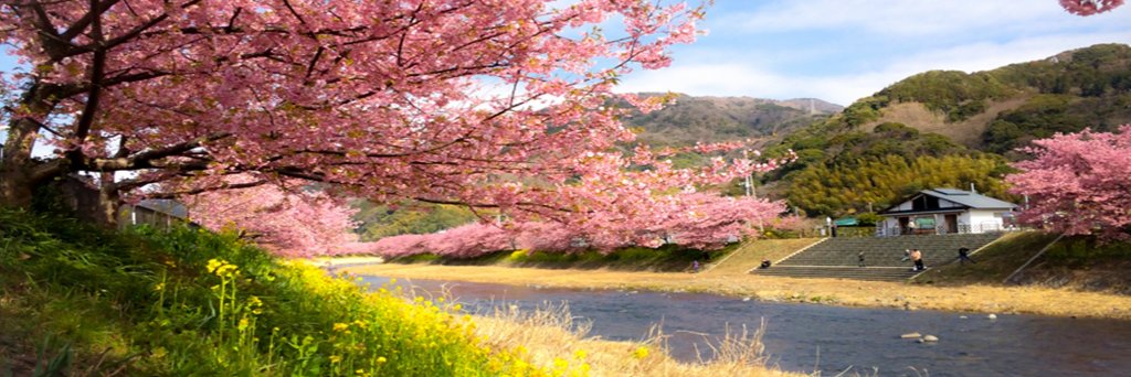 kerry7018's profile banner image