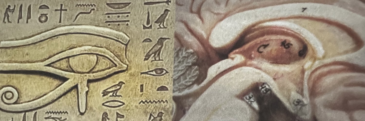 sinwlor's profile banner image