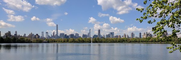 random_forests Profile Banner