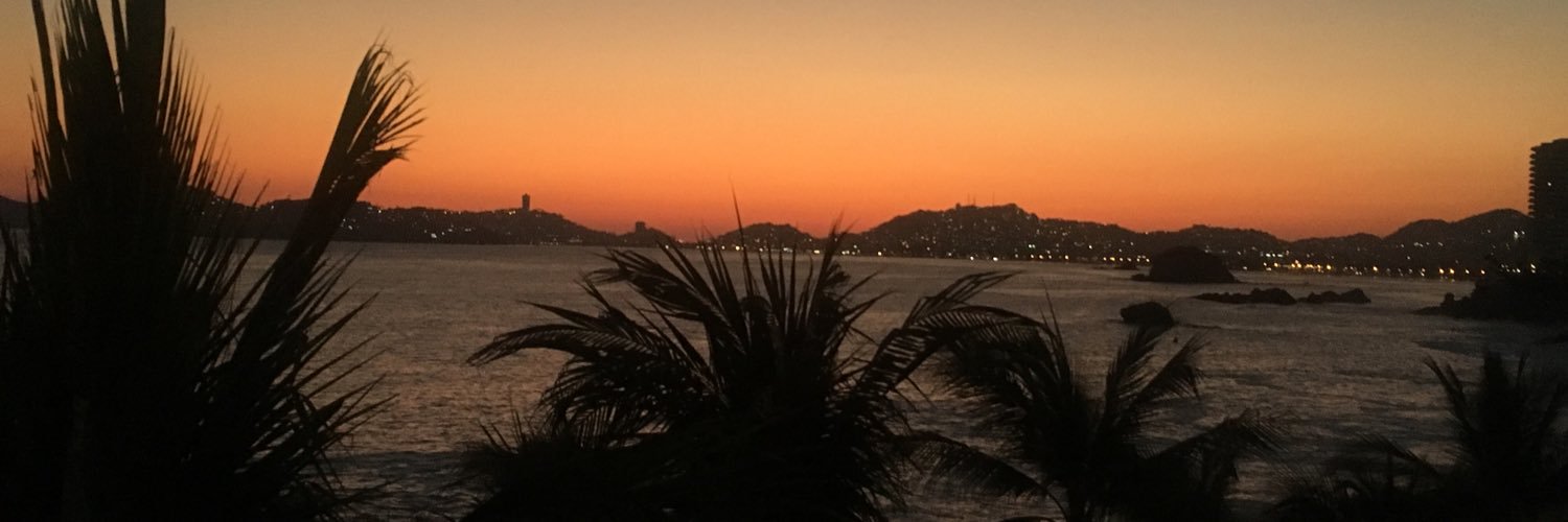 msaurea's profile banner image