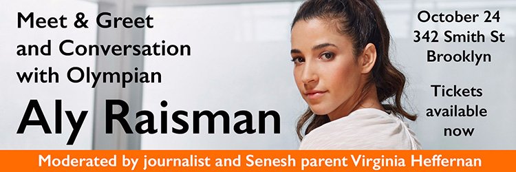 HannahSeneshDS's profile banner image
