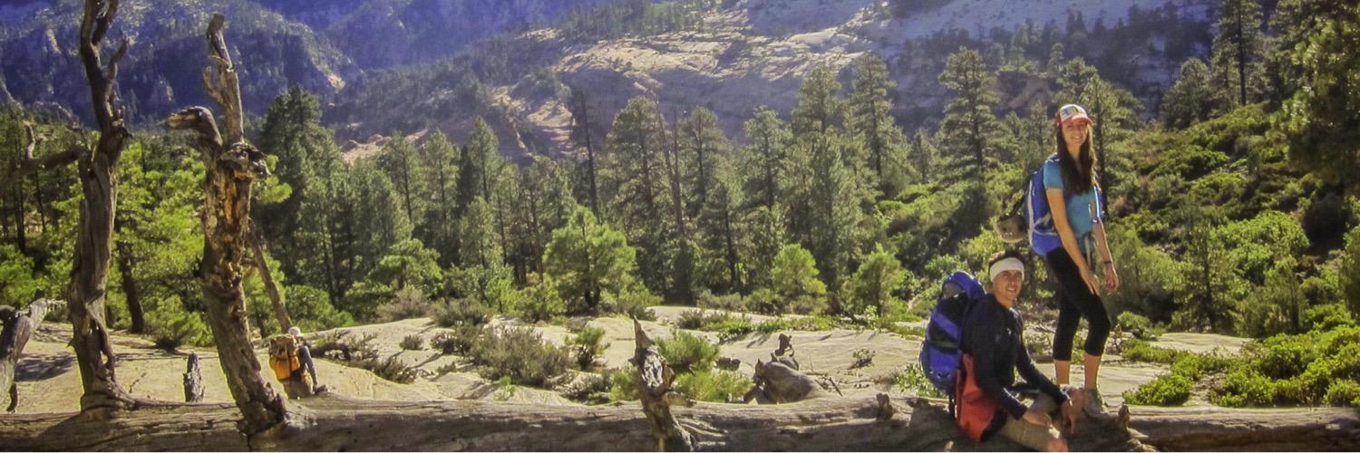mapnomads's profile banner image