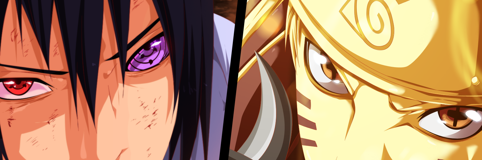 AnimeStormZ's profile banner image