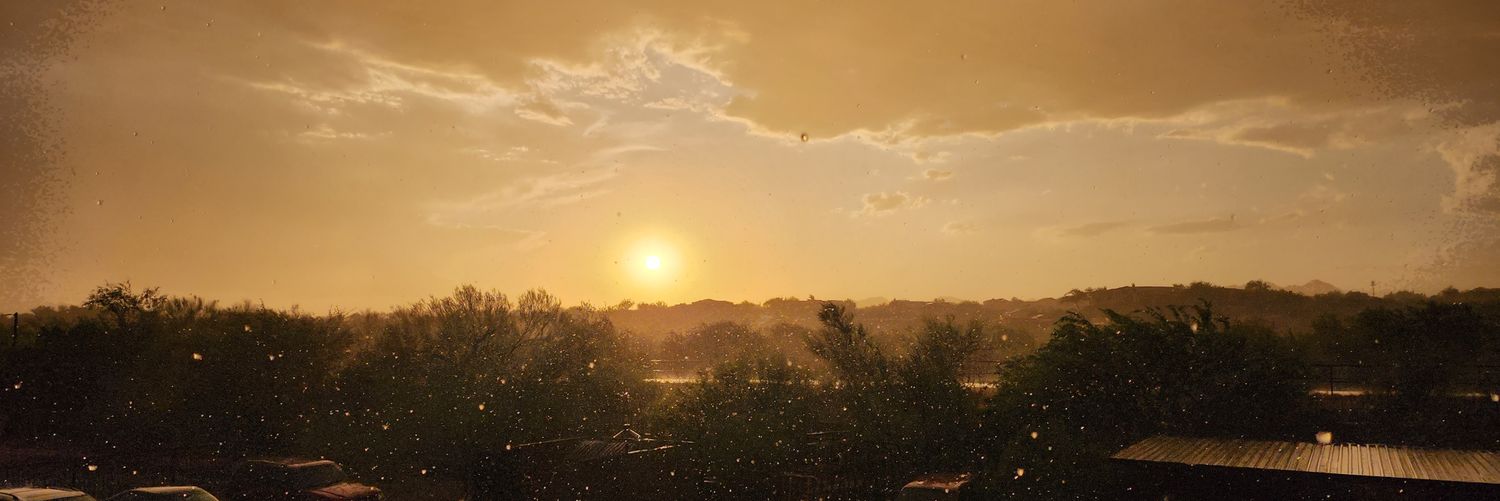 Anethe_Lsh's profile banner image