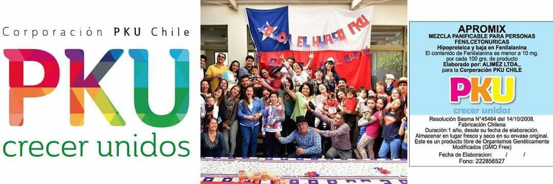 pkuchile's profile banner image