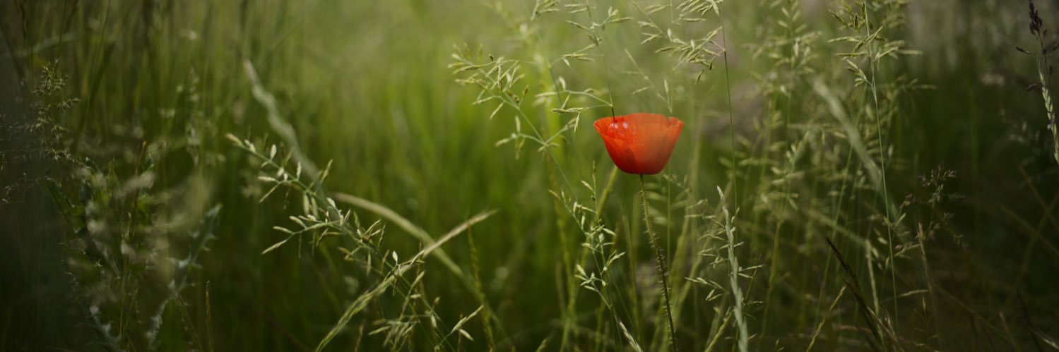 Gustaf Jansson banner