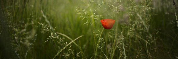 gj_frames Profile Banner