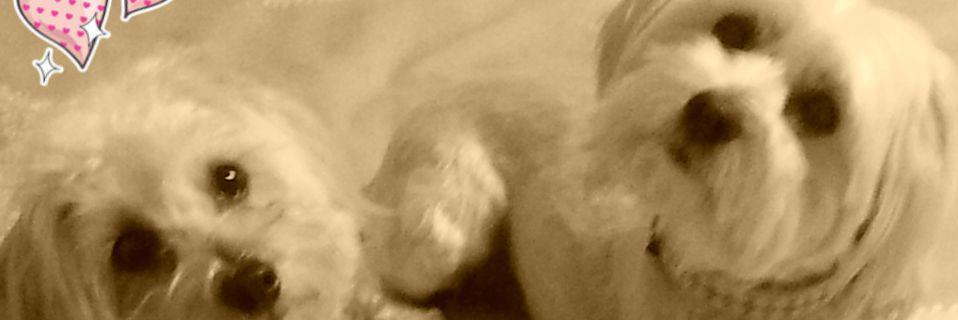 Mariquetas's profile banner image