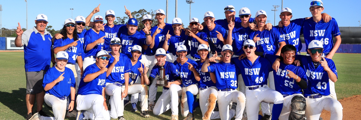 Baseball NSW banner