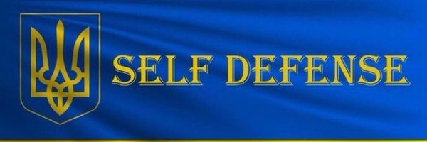 veraliondor Profile Banner