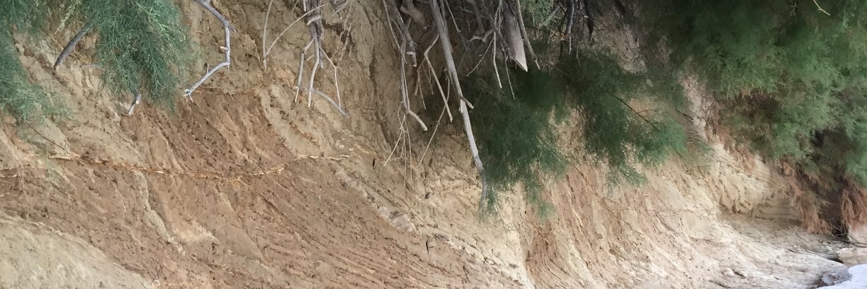 AllenJGrieco's profile banner image