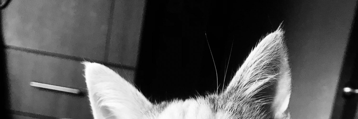 cami_jbc's profile banner image