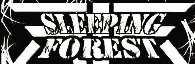 SLFOfficial_'s profile banner image
