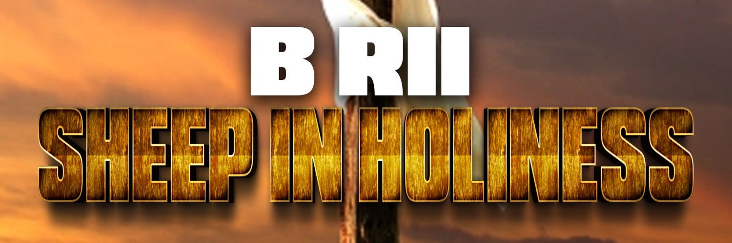 BRII954's profile banner image