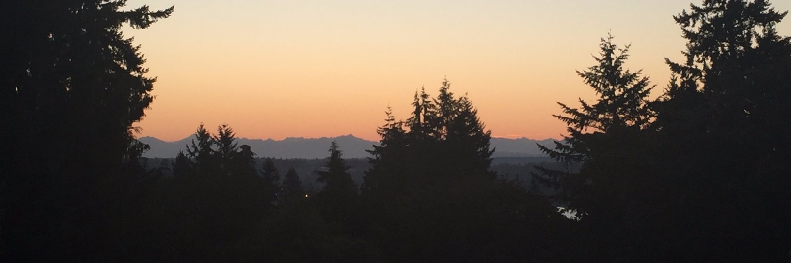 Crystal (she/Dr) banner