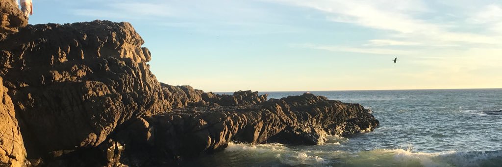 jeniscissorhand's profile banner image