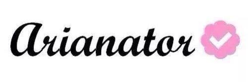 We love Ariana grand banner