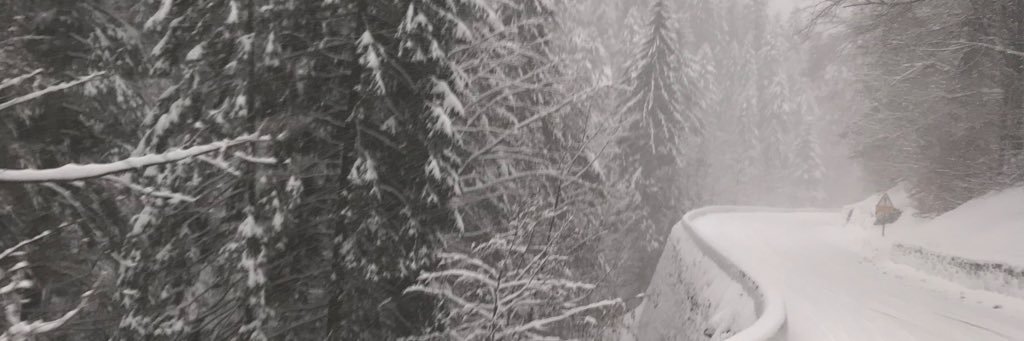 deliveryandy's profile banner image