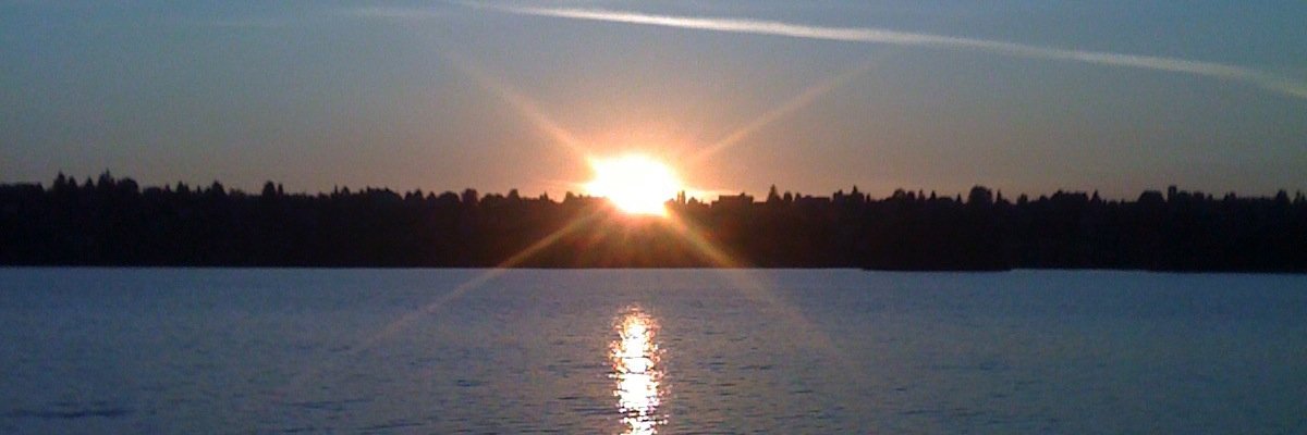 Todd_Debby's profile banner image