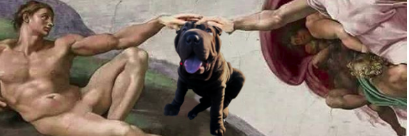 JuampiSeara's profile banner image