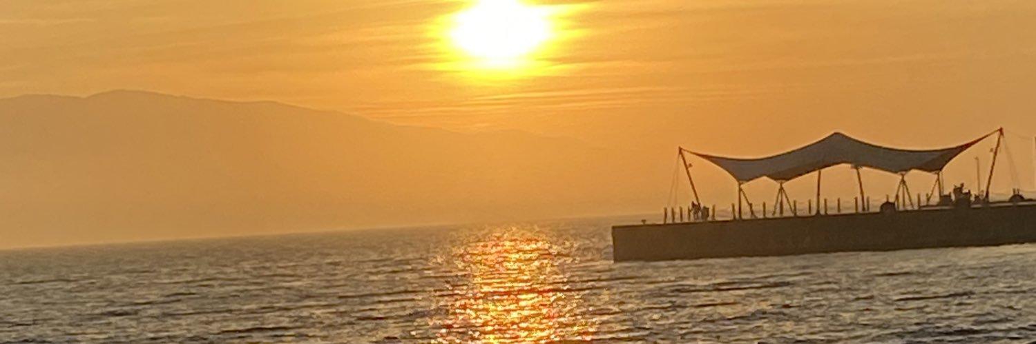 gulseni's profile banner image