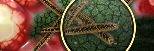 Regencells's profile banner image