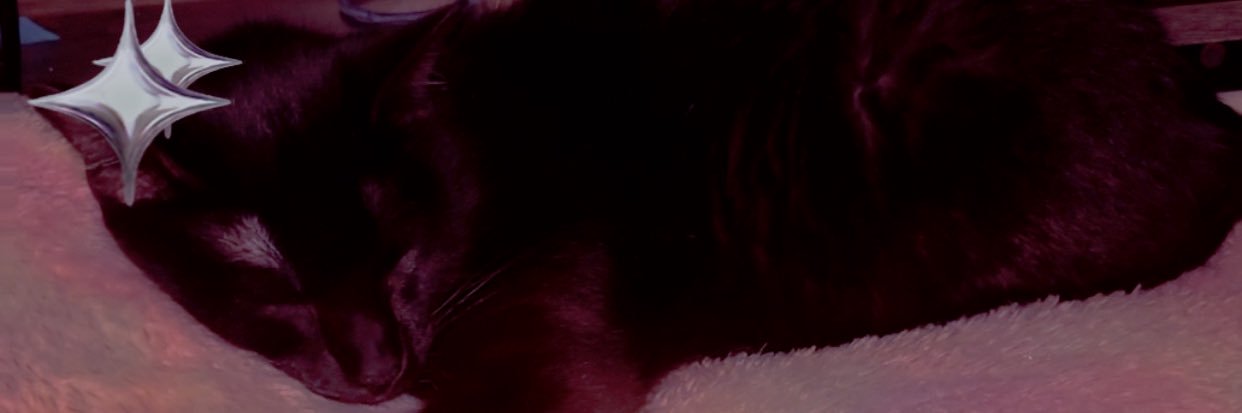 lakerryj's profile banner image