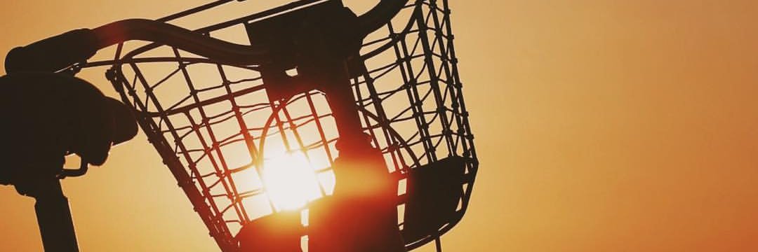 Halophtyes's profile banner image