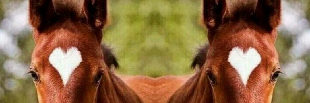 secrets23r's profile banner image