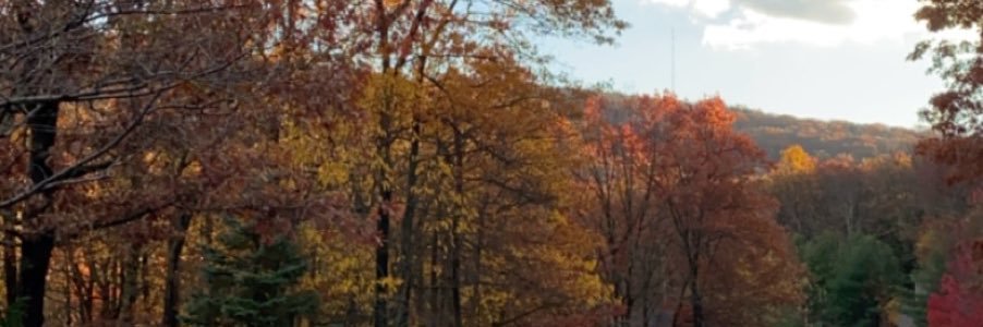 bbeck1121's profile banner image