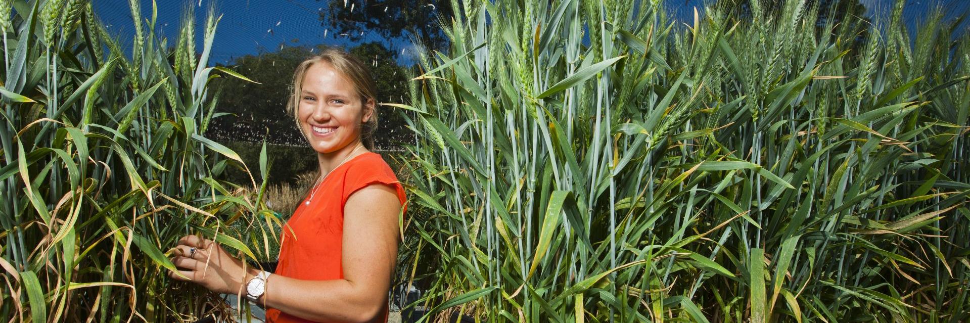 Science at UWA banner