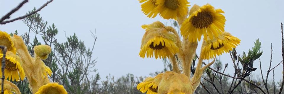 Lun_naD's profile banner image