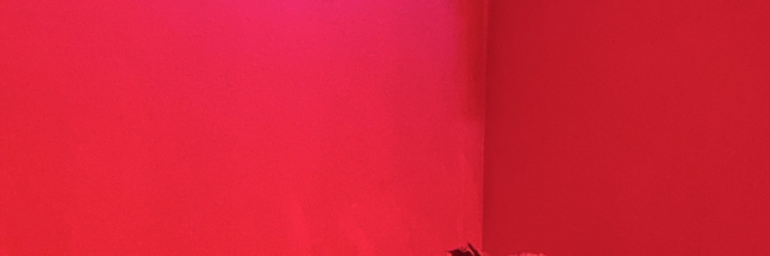 bacceles's profile banner image