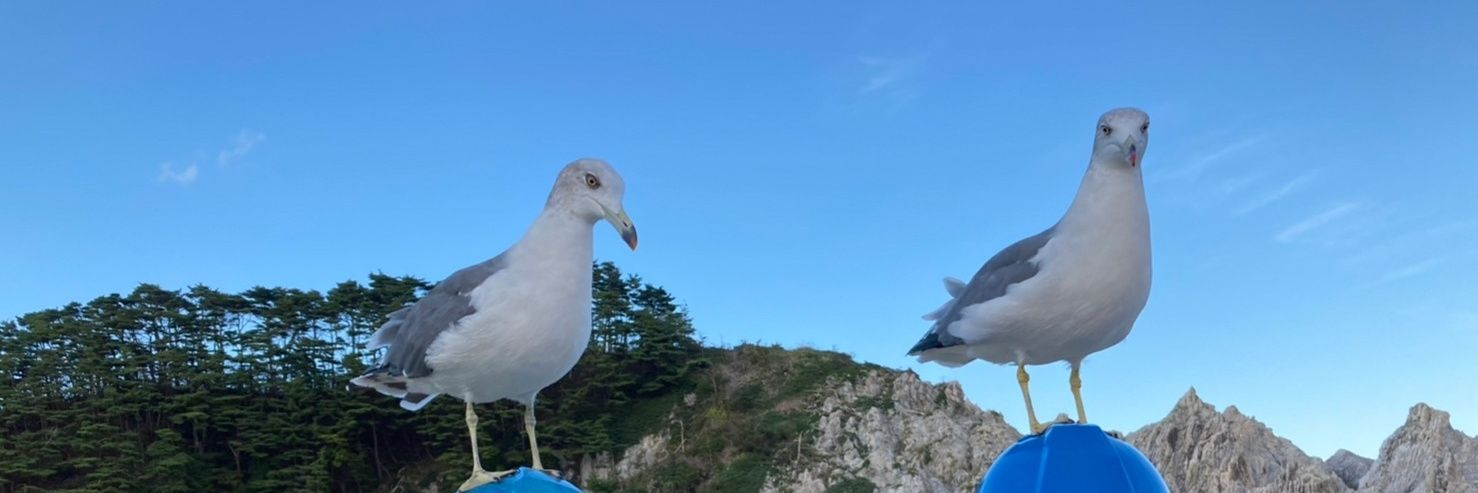 kmcysd's profile banner image