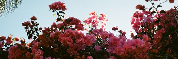 bayytrobess's profile banner image